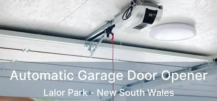 Automatic Garage Door Opener Lalor Park - New South Wales