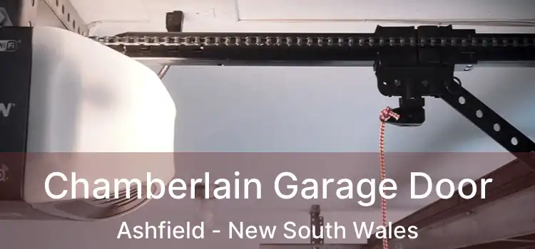 Chamberlain Garage Door Ashfield - New South Wales