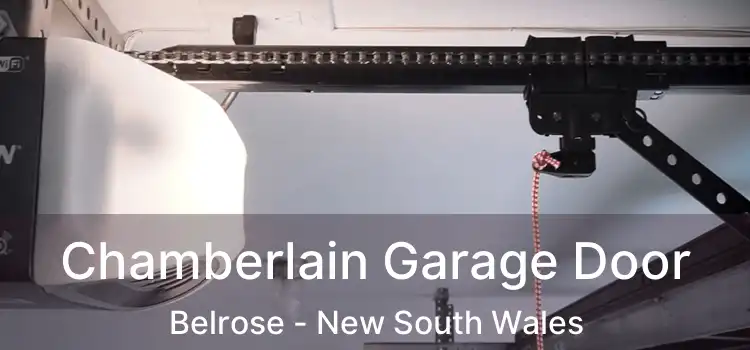 Chamberlain Garage Door Belrose - New South Wales