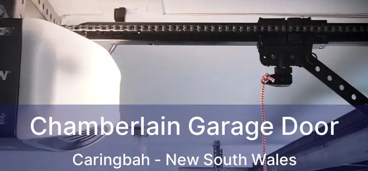 Chamberlain Garage Door Caringbah - New South Wales