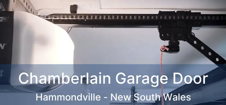 Chamberlain Garage Door Hammondville - New South Wales