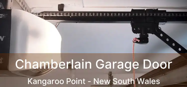 Chamberlain Garage Door Kangaroo Point - New South Wales