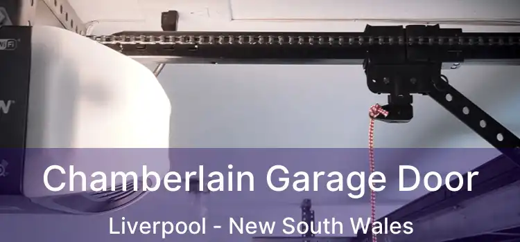 Chamberlain Garage Door Liverpool - New South Wales