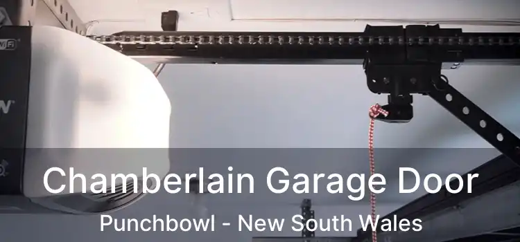 Chamberlain Garage Door Punchbowl - New South Wales