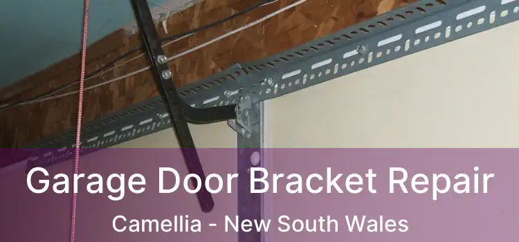 Garage Door Bracket Repair Camellia - New South Wales