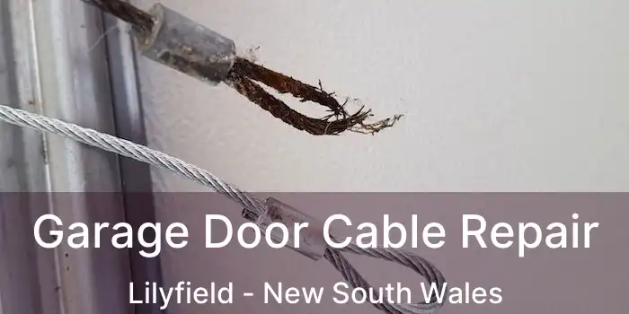 Garage Door Cable Repair Lilyfield - New South Wales