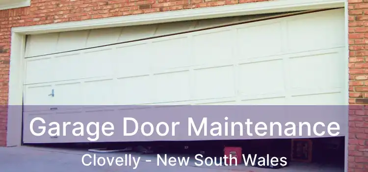 Garage Door Maintenance Clovelly - New South Wales