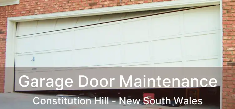 Garage Door Maintenance Constitution Hill - New South Wales