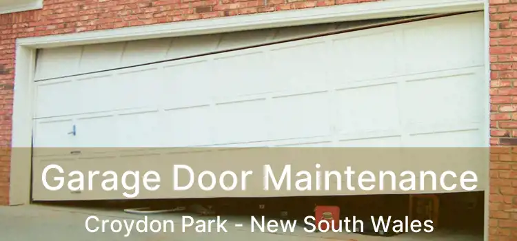 Garage Door Maintenance Croydon Park - New South Wales