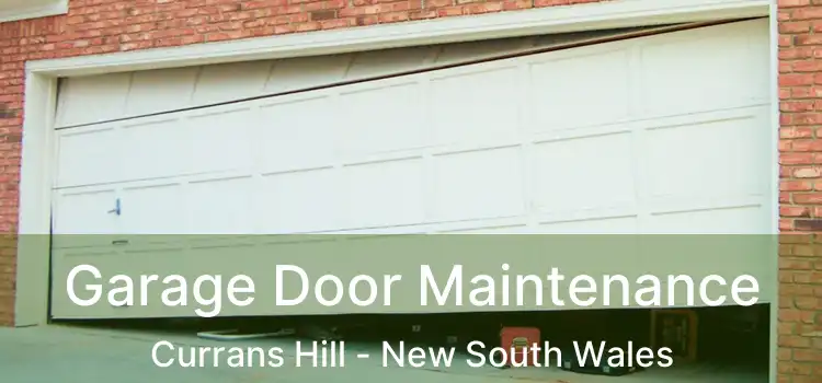 Garage Door Maintenance Currans Hill - New South Wales