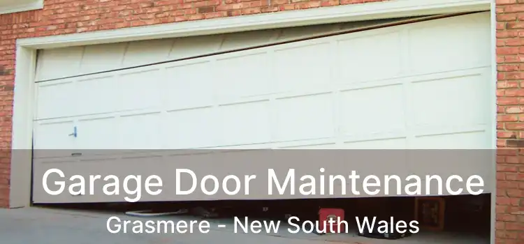 Garage Door Maintenance Grasmere - New South Wales