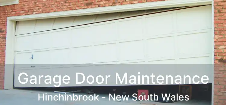 Garage Door Maintenance Hinchinbrook - New South Wales