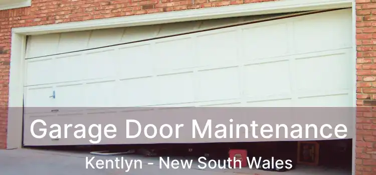 Garage Door Maintenance Kentlyn - New South Wales