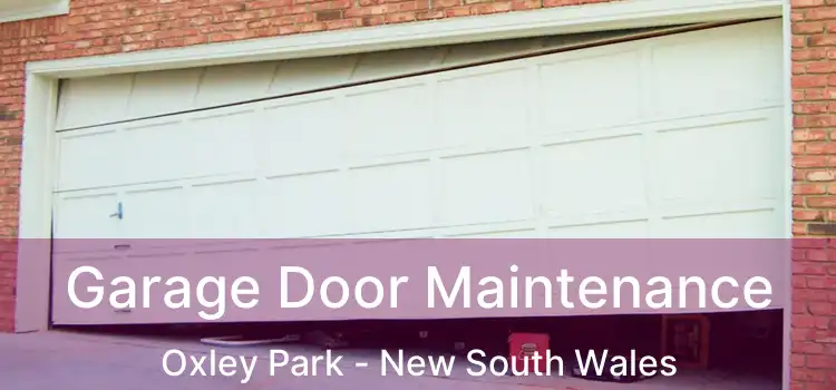 Garage Door Maintenance Oxley Park - New South Wales