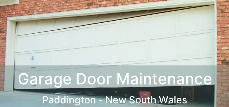 Garage Door Maintenance Paddington - New South Wales