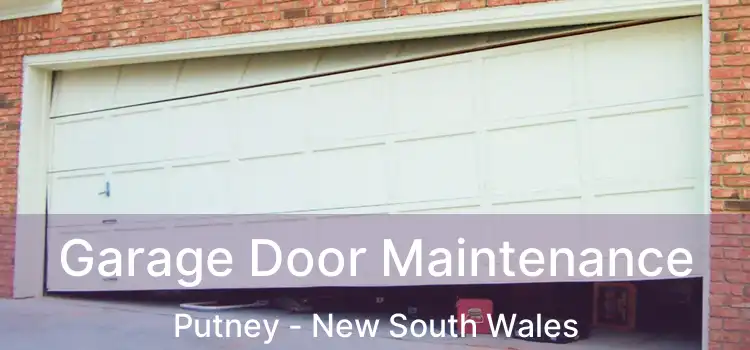 Garage Door Maintenance Putney - New South Wales