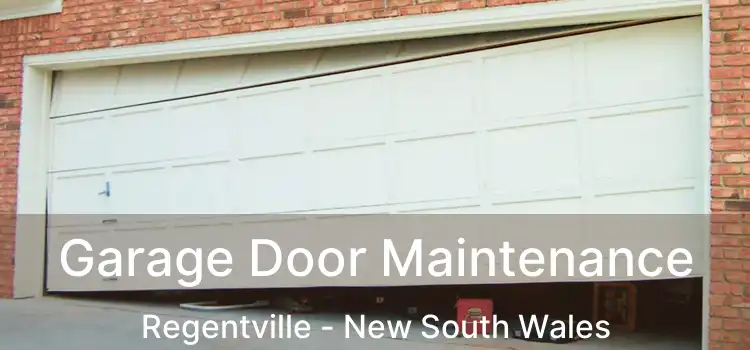 Garage Door Maintenance Regentville - New South Wales