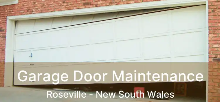 Garage Door Maintenance Roseville - New South Wales