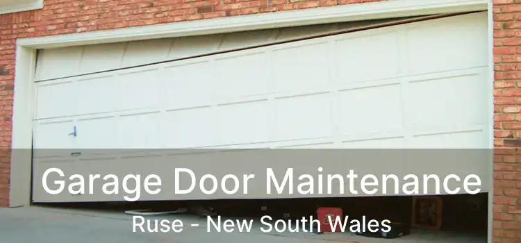 Garage Door Maintenance Ruse - New South Wales