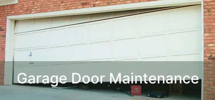 Garage Door Maintenance