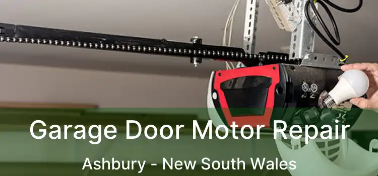 Garage Door Motor Repair Ashbury - New South Wales