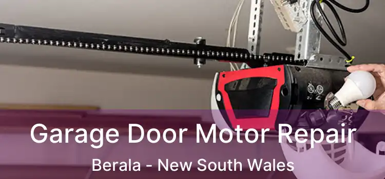 Garage Door Motor Repair Berala - New South Wales