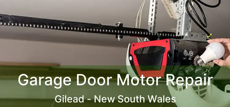 Garage Door Motor Repair Gilead - New South Wales