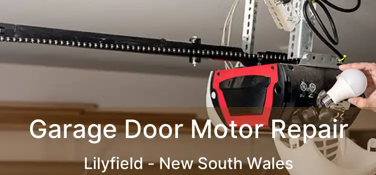 Garage Door Motor Repair Lilyfield - New South Wales