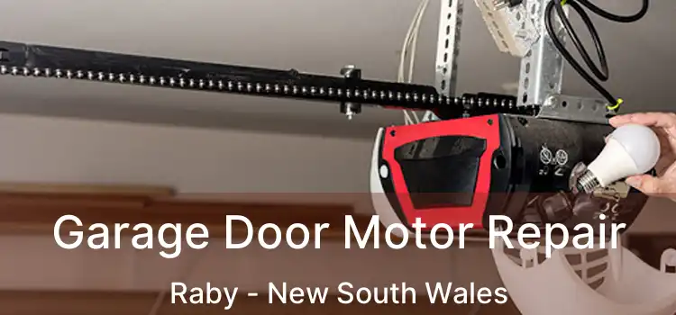 Garage Door Motor Repair Raby - New South Wales