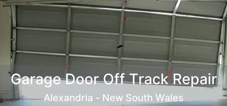 Garage Door Off Track Repair Alexandria - New South Wales