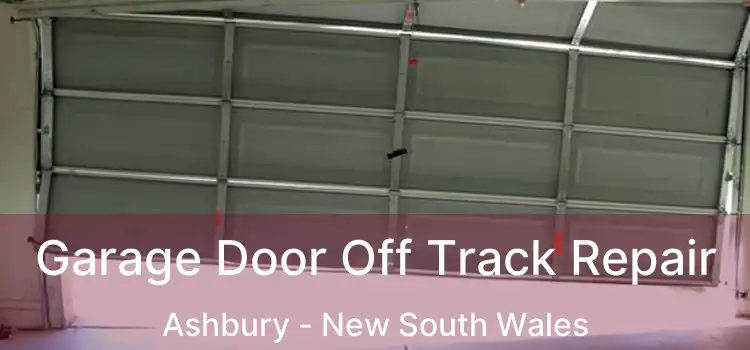 Garage Door Off Track Repair Ashbury - New South Wales