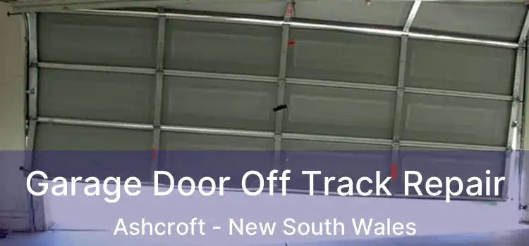 Garage Door Off Track Repair Ashcroft - New South Wales
