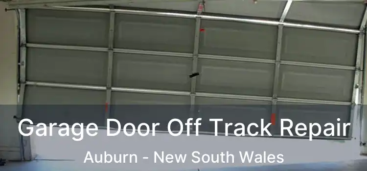 Garage Door Off Track Repair Auburn - New South Wales