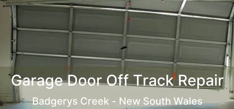 Garage Door Off Track Repair Badgerys Creek - New South Wales