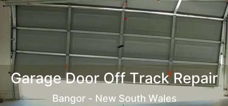 Garage Door Off Track Repair Bangor - New South Wales
