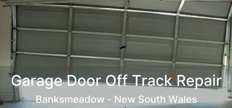 Garage Door Off Track Repair Banksmeadow - New South Wales