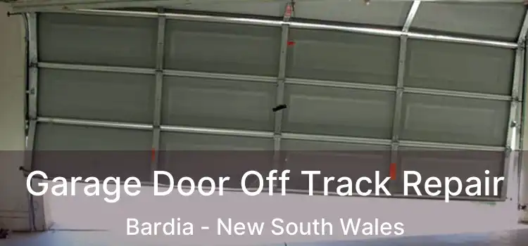 Garage Door Off Track Repair Bardia - New South Wales