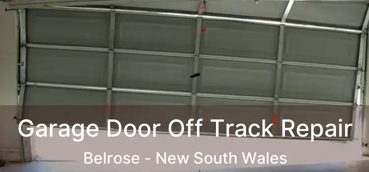Garage Door Off Track Repair Belrose - New South Wales