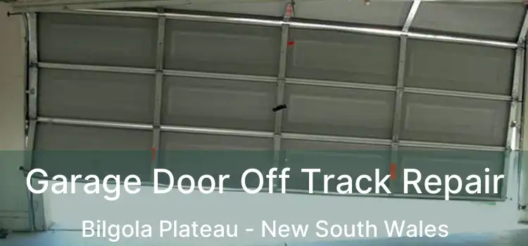 Garage Door Off Track Repair Bilgola Plateau - New South Wales