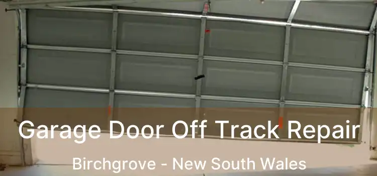 Garage Door Off Track Repair Birchgrove - New South Wales