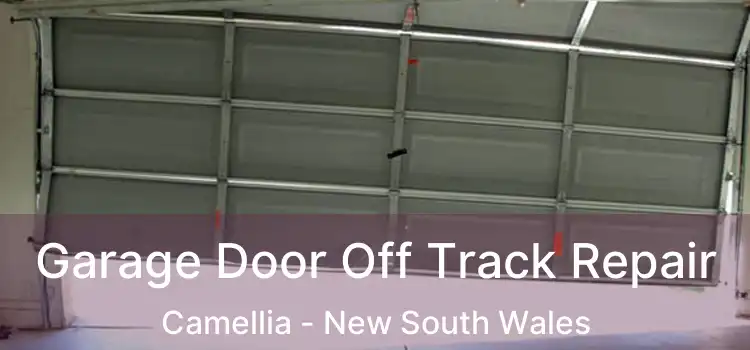 Garage Door Off Track Repair Camellia - New South Wales