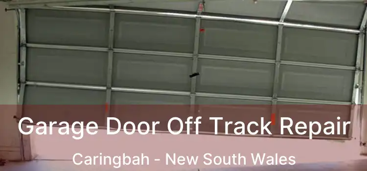 Garage Door Off Track Repair Caringbah - New South Wales
