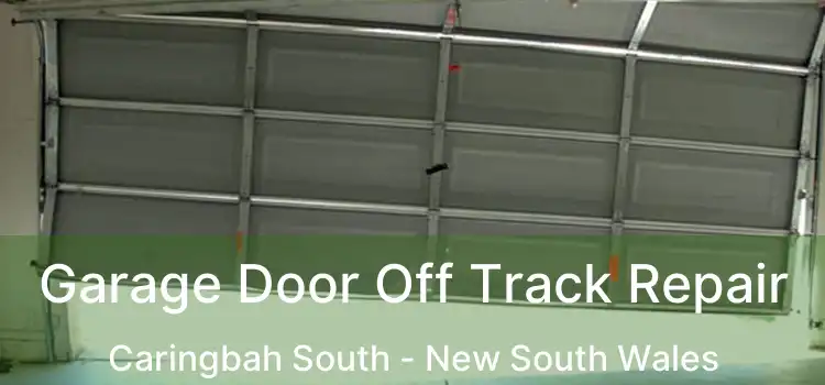 Garage Door Off Track Repair Caringbah South - New South Wales