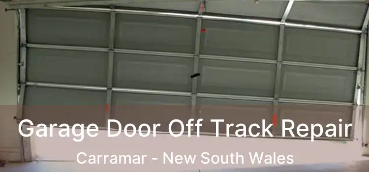 Garage Door Off Track Repair Carramar - New South Wales