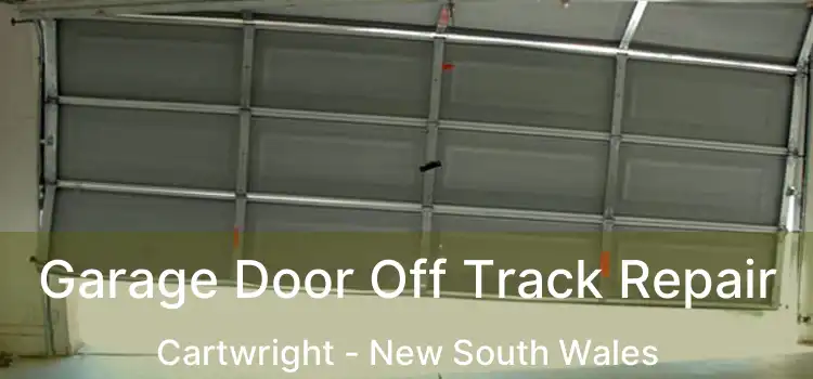 Garage Door Off Track Repair Cartwright - New South Wales