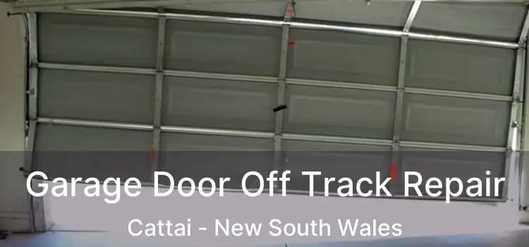 Garage Door Off Track Repair Cattai - New South Wales