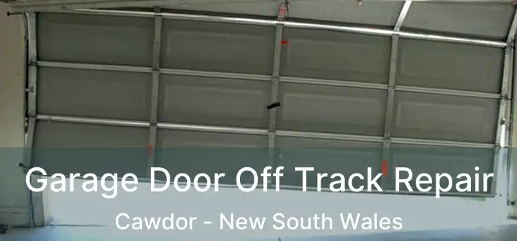 Garage Door Off Track Repair Cawdor - New South Wales