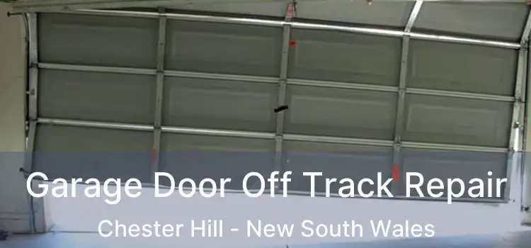 Garage Door Off Track Repair Chester Hill - New South Wales