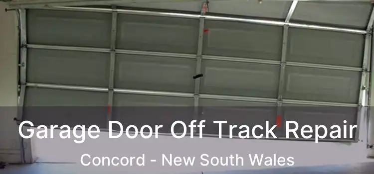 Garage Door Off Track Repair Concord - New South Wales