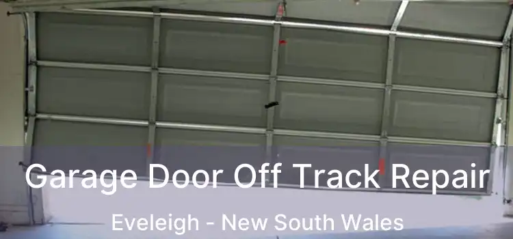 Garage Door Off Track Repair Eveleigh - New South Wales